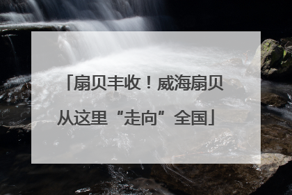 扇贝丰收！威海扇贝从这里“走向”全国