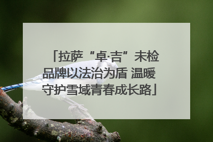拉萨“卓·吉”未检品牌以法治为盾 温暖守护雪域青春成长路