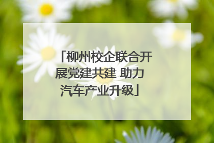 柳州校企联合开展党建共建 助力汽车产业升级