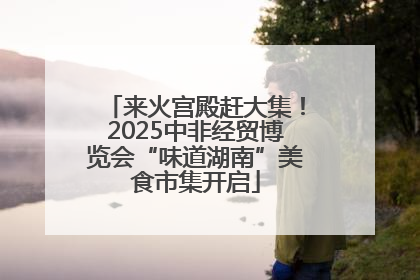 来火宫殿赶大集！2025中非经贸博览会“味道湖南”美食市集开启