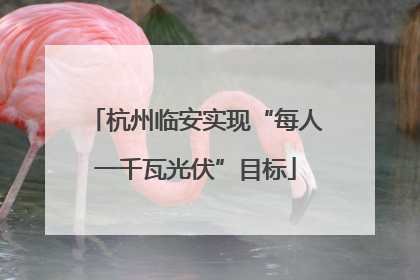 杭州临安实现“每人一千瓦光伏”目标