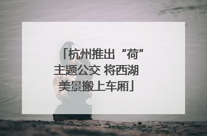杭州推出“荷”主题公交 将西湖美景搬上车厢