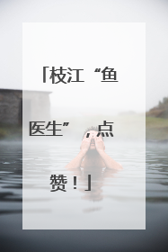 枝江“鱼医生”，点赞！