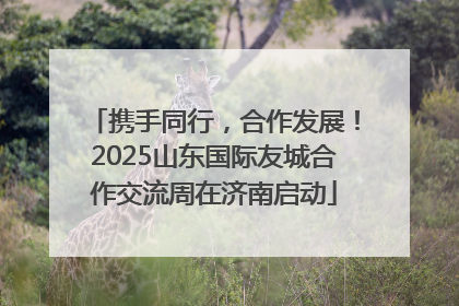 携手同行,合作发展!2025山东国际友城合作交流周在济南启动