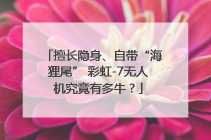 擅长隐身、自带“海狸尾” 彩虹-7无人机究竟有多牛？