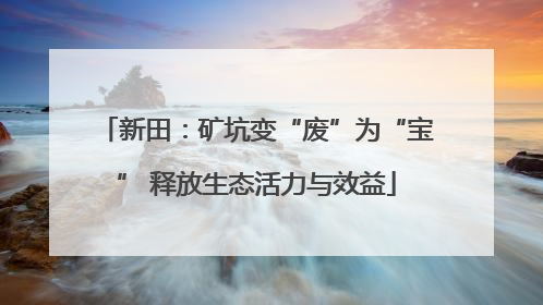 新田：矿坑变“废”为“宝” 释放生态活力与效益