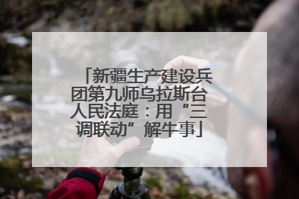 新疆生产建设兵团第九师乌拉斯台人民法庭：用“三调联动”解牛事