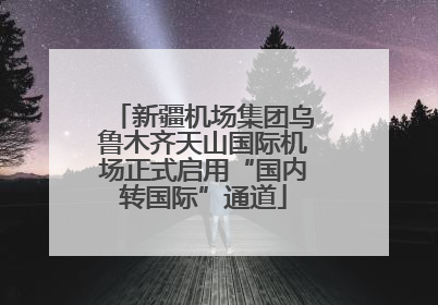 新疆机场集团乌鲁木齐天山国际机场正式启用“国内转国际”通道