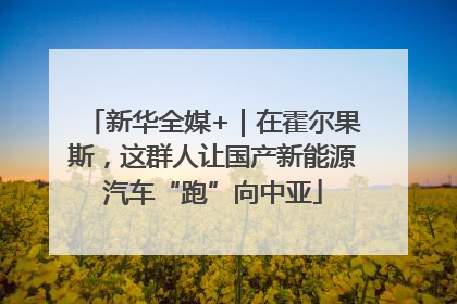 新华全媒+｜在霍尔果斯，这群人让国产新能源汽车“跑”向中亚