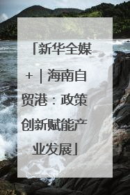 新华全媒+｜海南自贸港：政策创新赋能产业发展