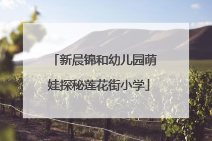新晨锦和幼儿园萌娃探秘莲花街小学