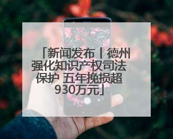 新闻发布丨德州强化知识产权司法保护 五年挽损超930万元