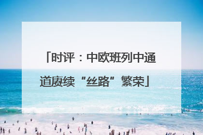 时评：中欧班列中通道赓续“丝路”繁荣