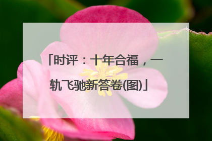 时评：十年合福，一轨飞驰新答卷(图)