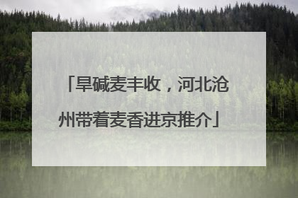 旱碱麦丰收，河北沧州带着麦香进京推介
