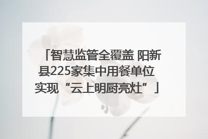 智慧监管全覆盖 阳新县225家集中用餐单位实现“云上明厨亮灶”