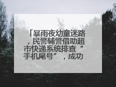 暴雨夜幼童迷路，民警辅警借助超市快递系统排查“手机尾号”，成功联系上家长