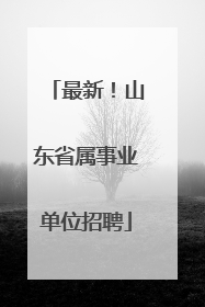 最新！山东省属事业单位招聘