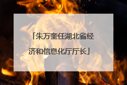 朱万奎任湖北省经济和信息化厅厅长