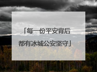 每一份平安背后 都有冰城公安坚守