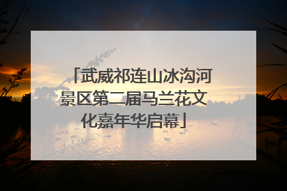 武威祁连山冰沟河景区第二届马兰花文化嘉年华启幕