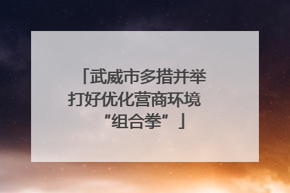 武威市多措并举打好优化营商环境“组合拳”