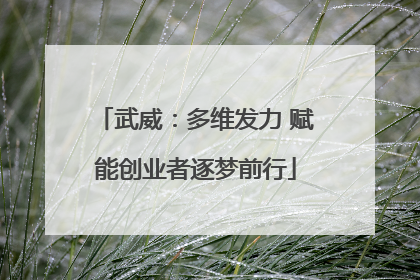 武威：多维发力 赋能创业者逐梦前行