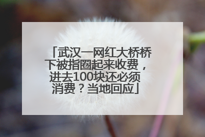 武汉一网红大桥桥下被指圈起来收费，进去100块还必须消费？当地回应