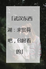 武汉东西湖：来赏荷吧，包好看的