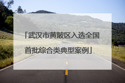 武汉市黄陂区入选全国首批综合类典型案例