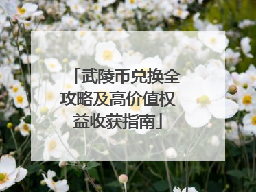 武陵币兑换全攻略及高价值权益收获指南