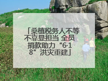 桑植税务人不等不靠显担当 全员捐款助力“6·18”洪灾重建