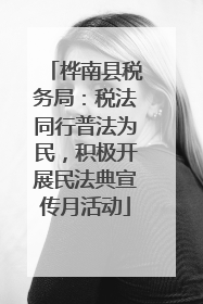 桦南县税务局：税法同行普法为民，积极开展民法典宣传月活动