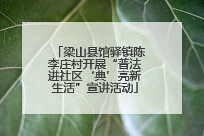 梁山县馆驿镇陈李庄村开展“普法进社区‘典’亮新生活”宣讲活动
