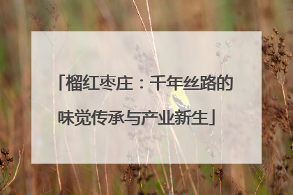 榴红枣庄：千年丝路的味觉传承与产业新生