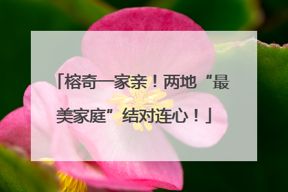 榕奇一家亲！两地“最美家庭”结对连心！