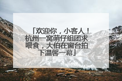 欢迎你，小客人！杭州一窝萌仔组团求喂食，大伯在窗台拍下温馨一幕