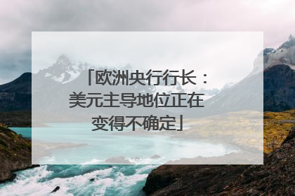 欧洲央行行长：美元主导地位正在变得不确定