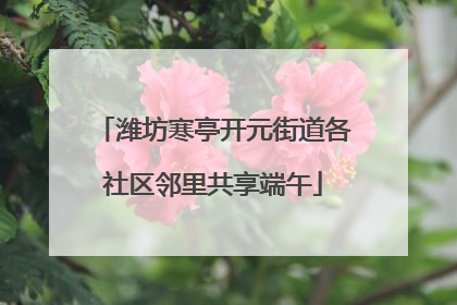 潍坊寒亭开元街道各社区邻里共享端午