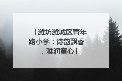 潍坊潍城区青年路小学：诗韵飘香，雅润童心