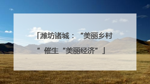 潍坊诸城：“美丽乡村”催生“美丽经济”