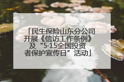 民生保险山东分公司开展《信访工作条例》及“5·15全国投资者保护宣传日”活动