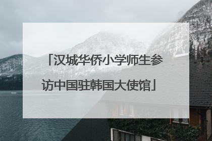 汉城华侨小学师生参访中国驻韩国大使馆