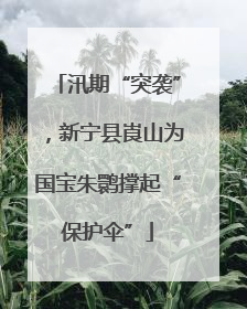 汛期“突袭”，新宁县崀山为国宝朱鹮撑起“保护伞”