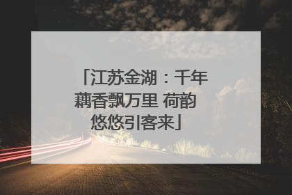 江苏金湖：千年藕香飘万里 荷韵悠悠引客来