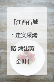 江西石城：走实采烤路 烤出黄金叶