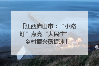 江西庐山市：“小路灯”点亮“大民生” 乡村振兴稳提速