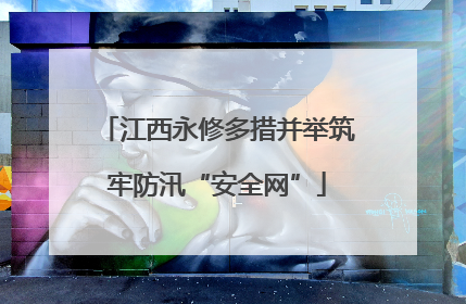 江西永修多措并举筑牢防汛“安全网”