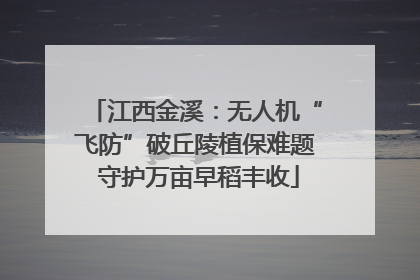 江西金溪：无人机“飞防”破丘陵植保难题 守护万亩早稻丰收