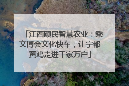 江西颐民智慧农业：乘文博会文化快车，让宁都黄鸡走进千家万户